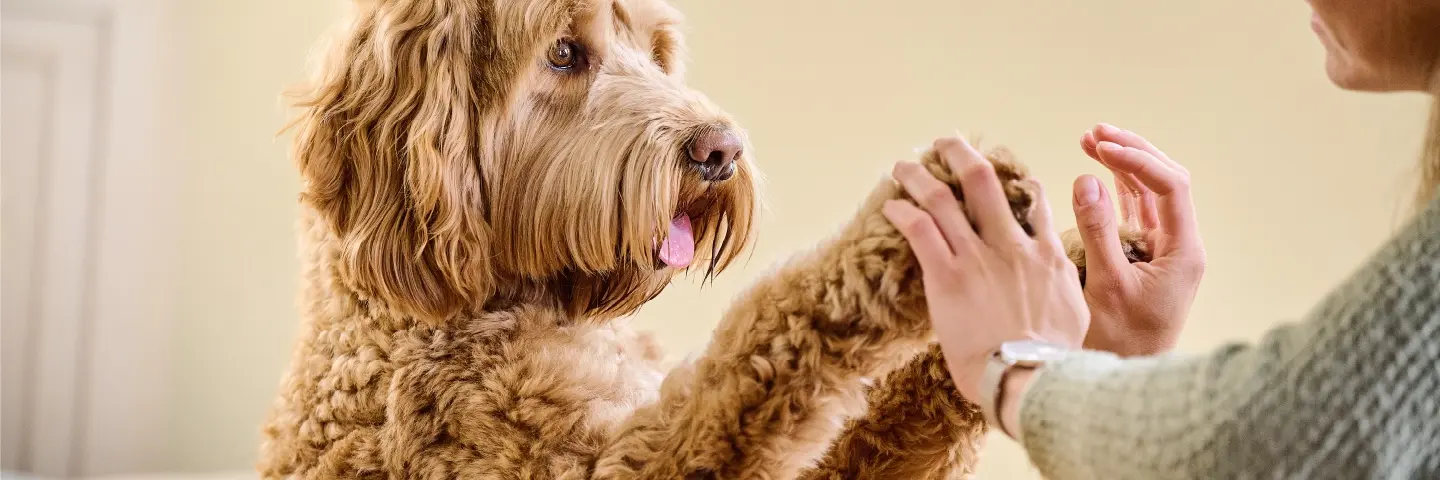 Beaphar Gezondheid voor honden